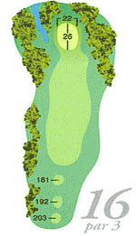 hole16